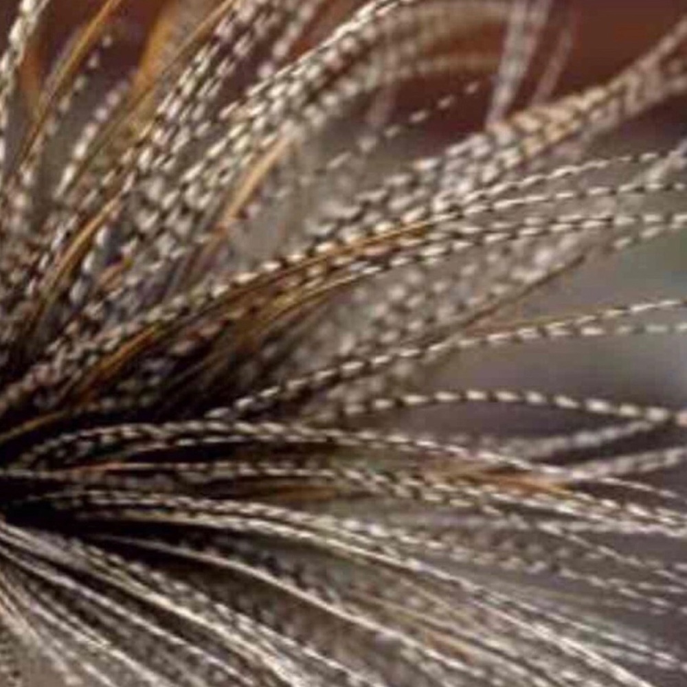 50 long  Hair Extensions Natural Colors